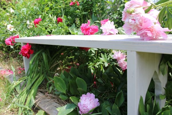 Easy Farmhouse Bench The Weathered Fox 12