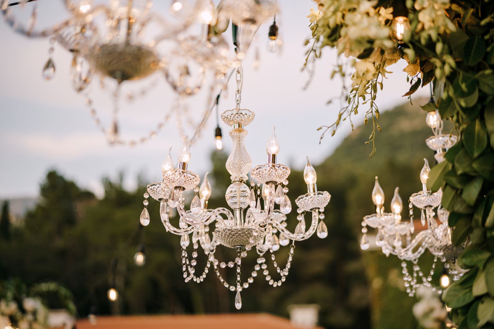 Elegant Chandelier