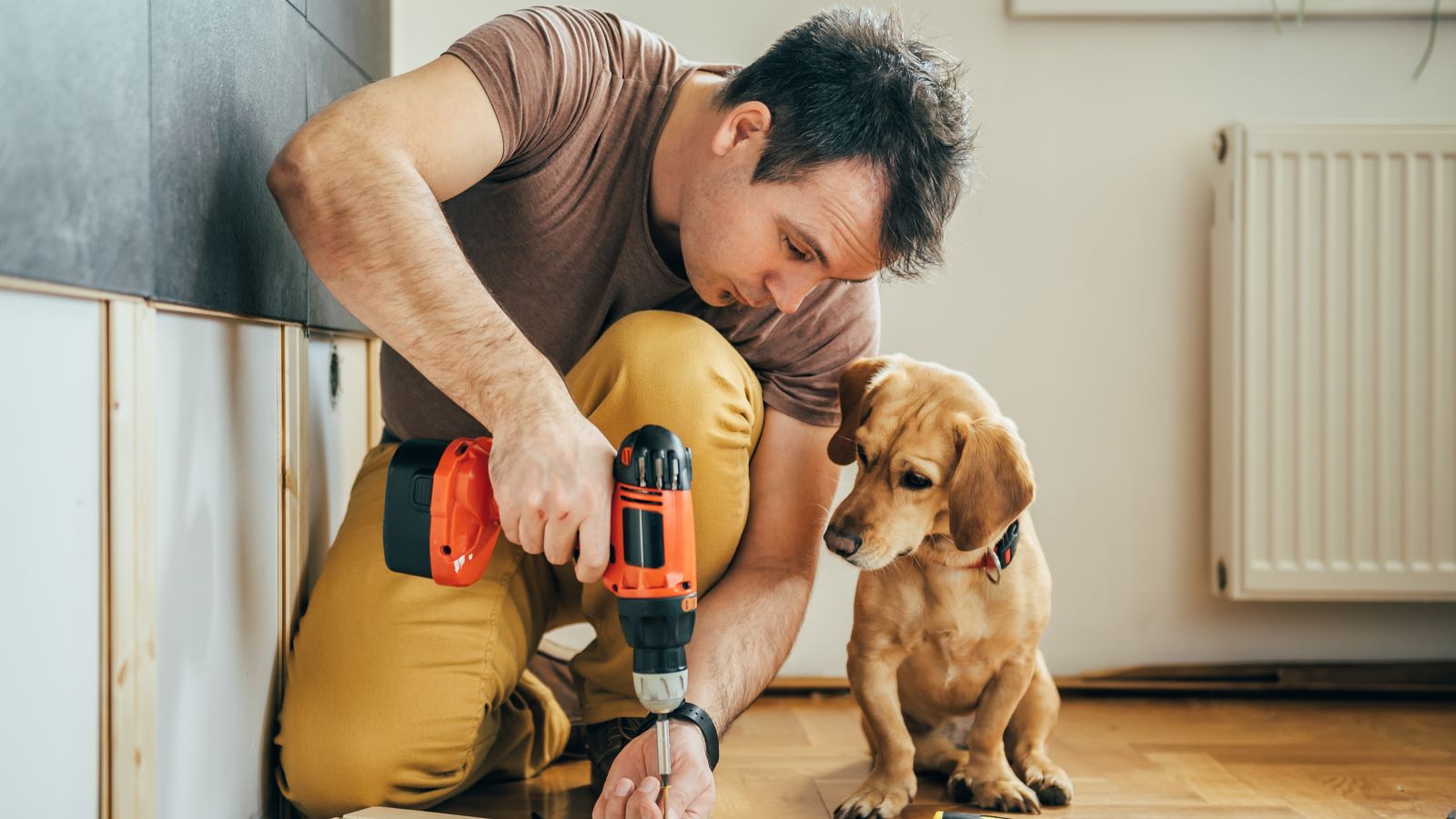 Man Renovation With Dog