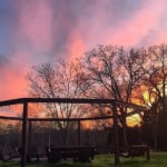 Pergola Swing Set Around Fire Pit At Sunset, DIY Pergola Plans And Tutorial LWHBlog For Remodelaholic