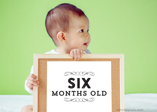 Printable Baby Milestone Cards For Easy Monthly Baby Pictures, Remodelaholic